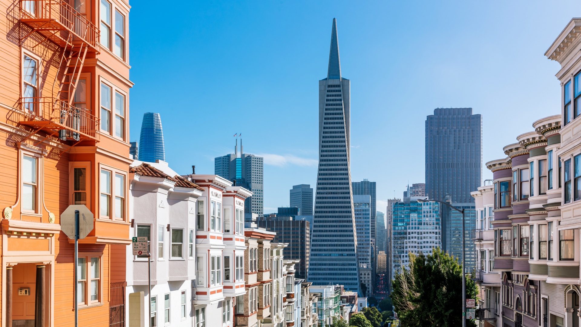 A photograph of San Francisco’s skyline.