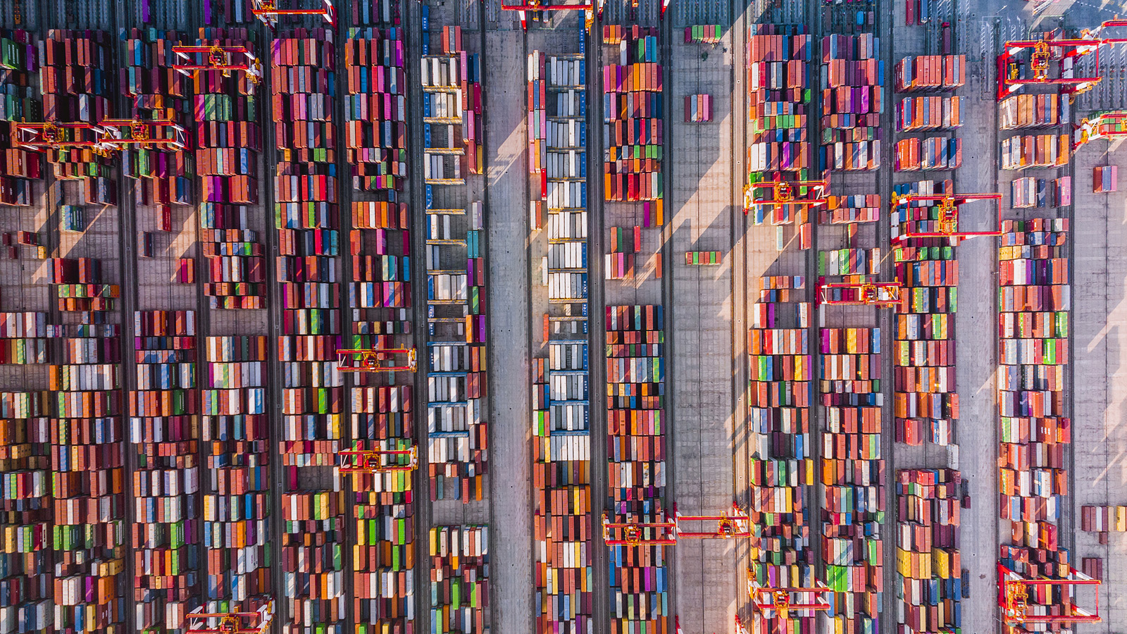 Shipping containers loaded in rows