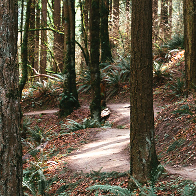 2006: Center For Environmental Markets Card Image