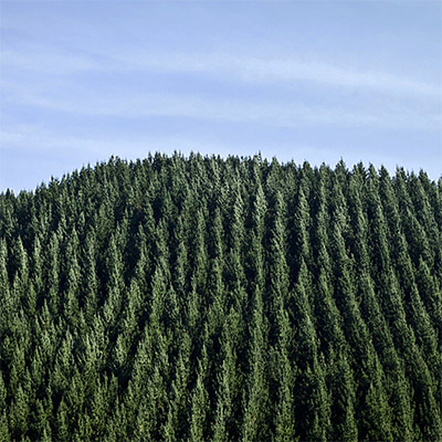 2015: Updated Environmental Policy Framework Card Image