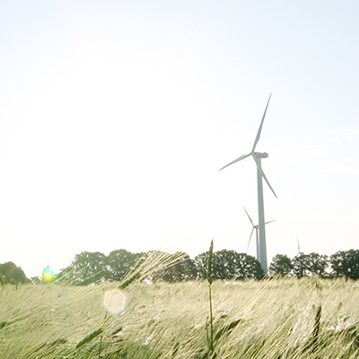 2019: Announcing The Formation Of The Sustainable Finance Group Card Image